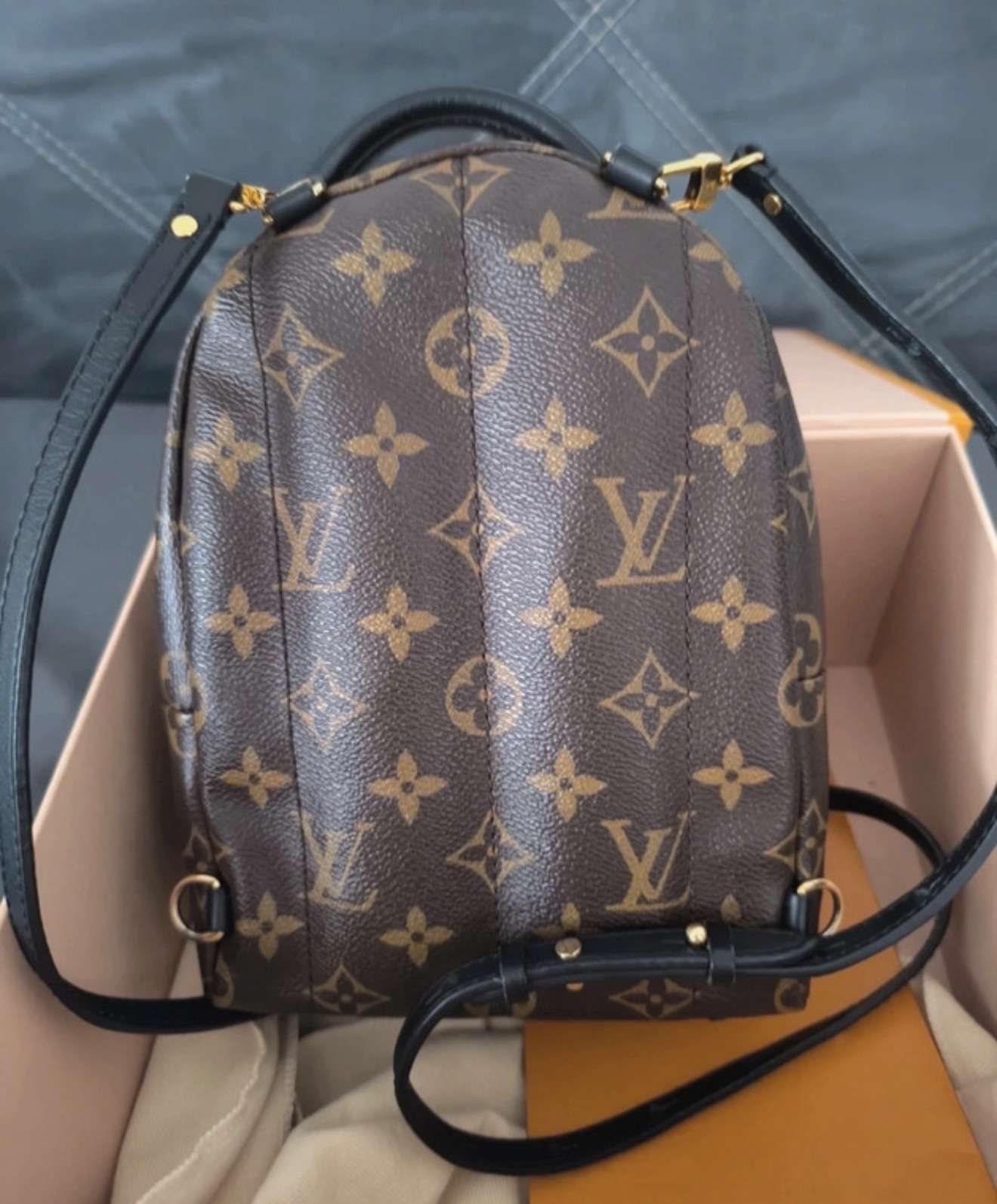 Louis Vuitton Palm Springs PM