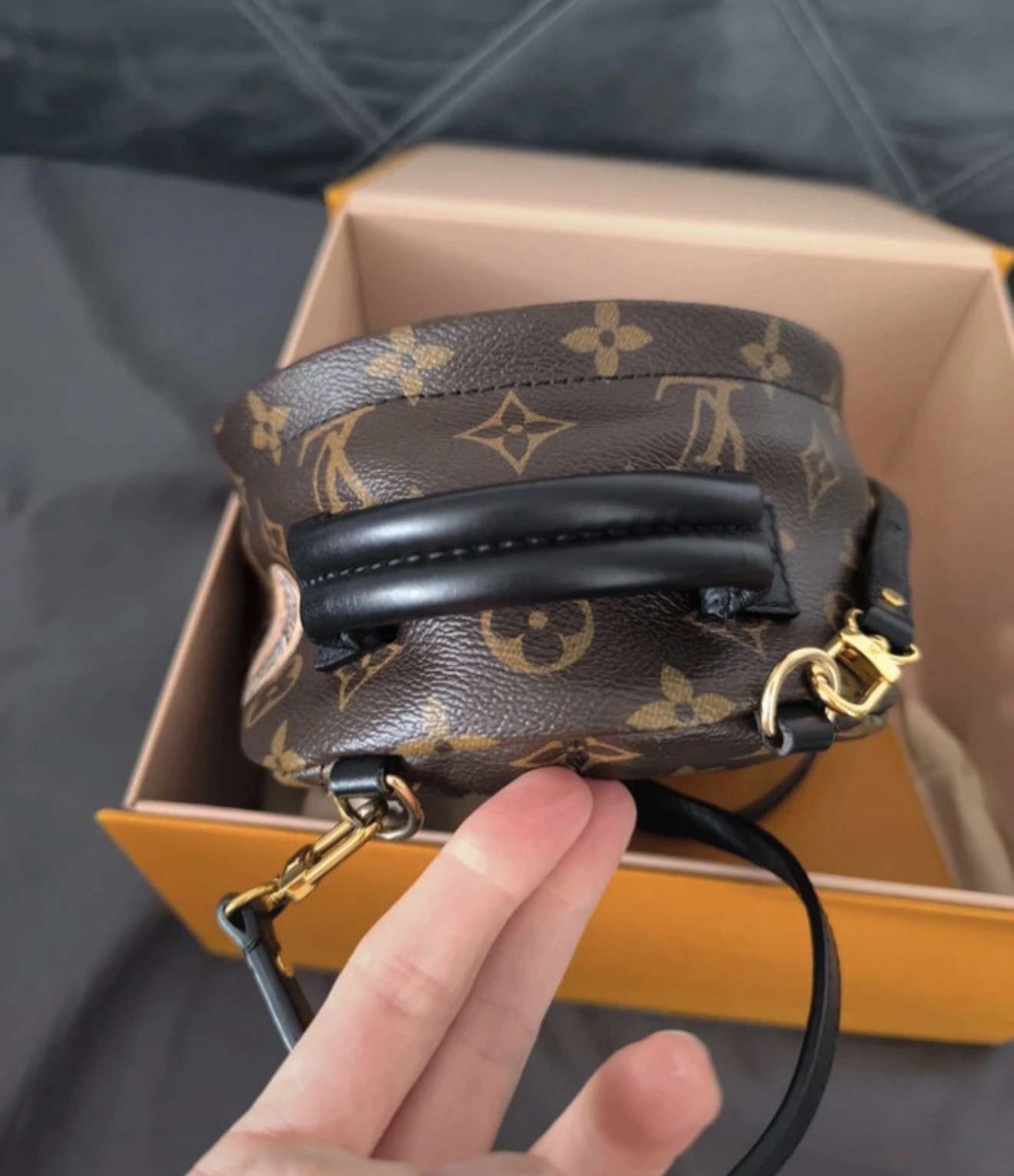 Louis Vuitton Palm Springs PM