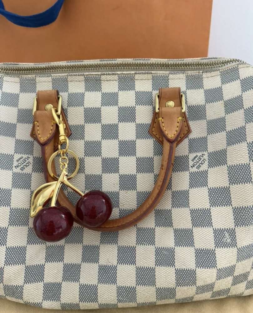 Louis Vuitton speedy 30