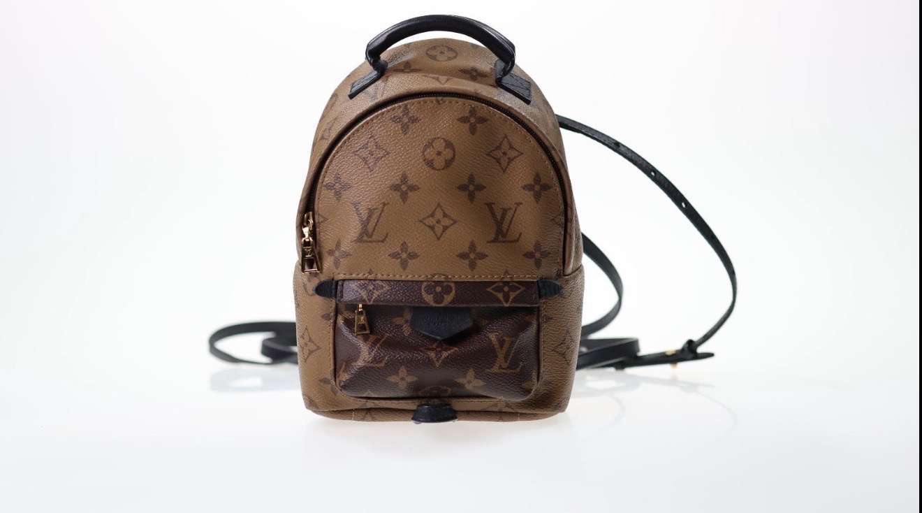 Louis Vuitton Palm Spring mini