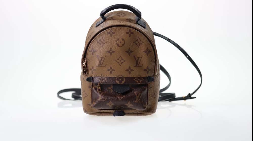 Louis Vuitton Palm Spring mini