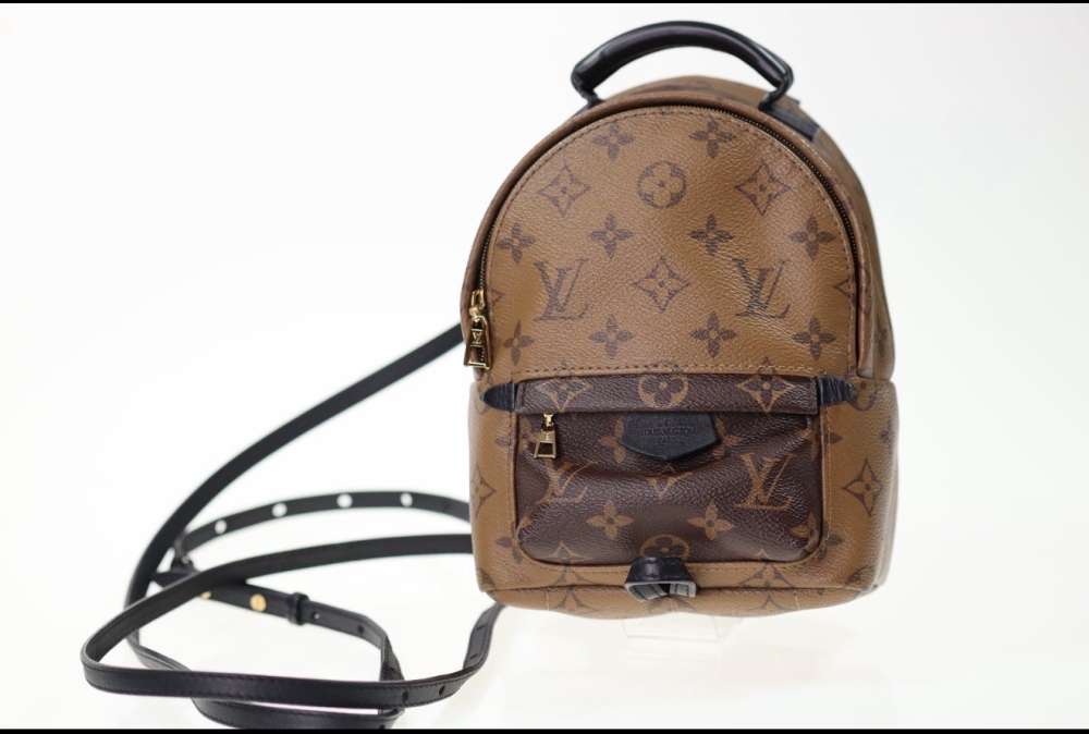 Louis Vuitton Palm Spring mini