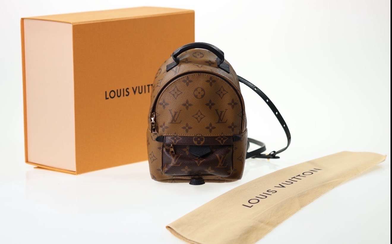 Louis Vuitton Palm Spring mini