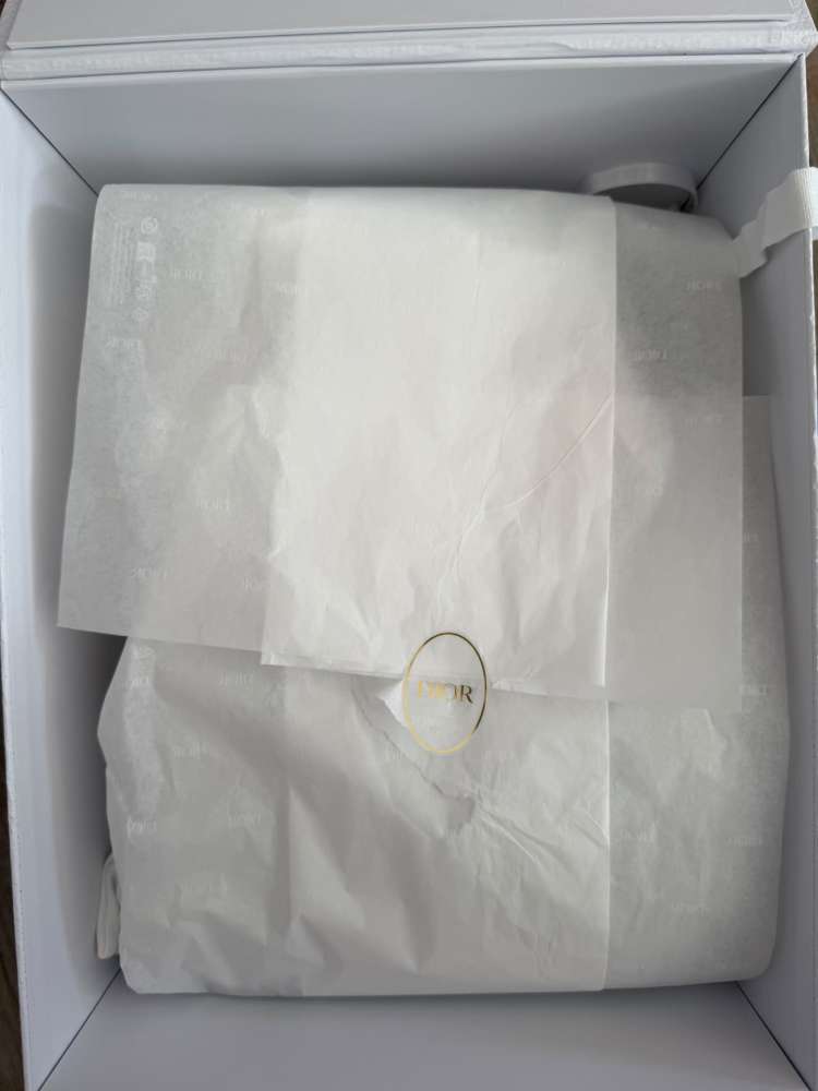 Christian Dior Lady dior small