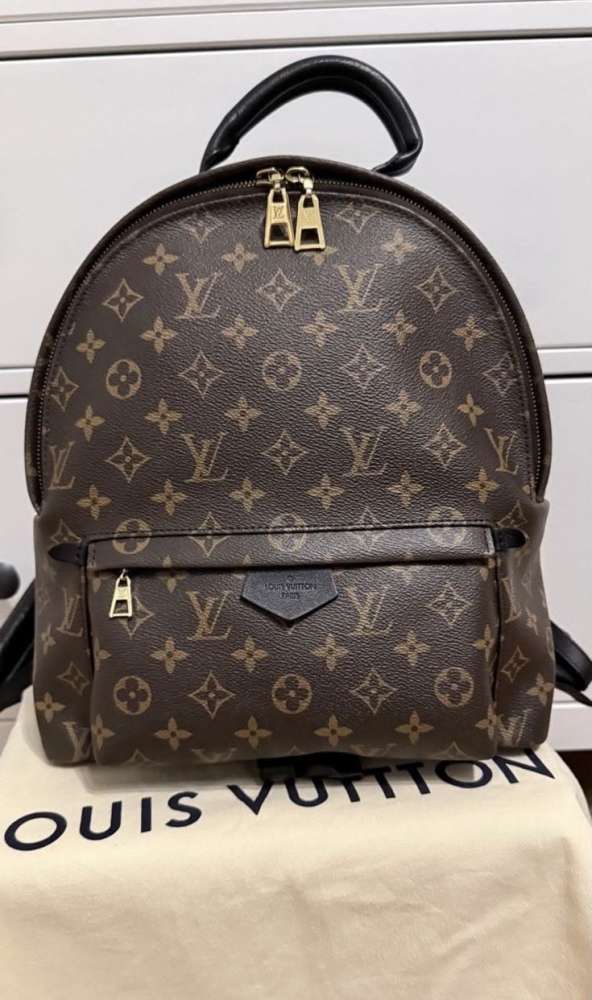Louis Vuitton palmspring Mm