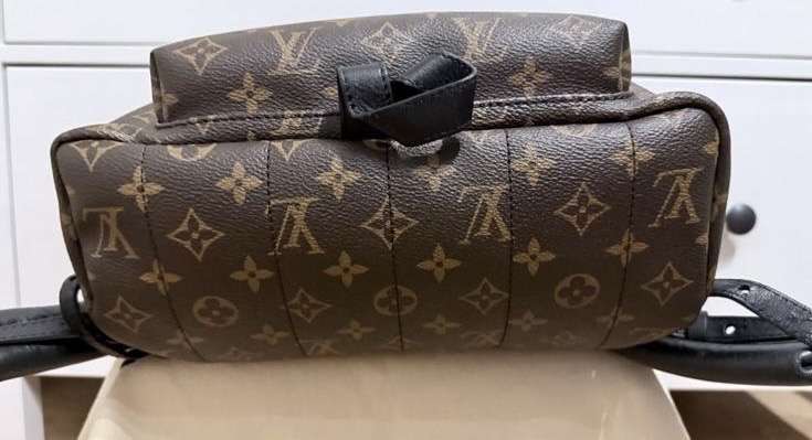 Louis Vuitton palmspring Mm