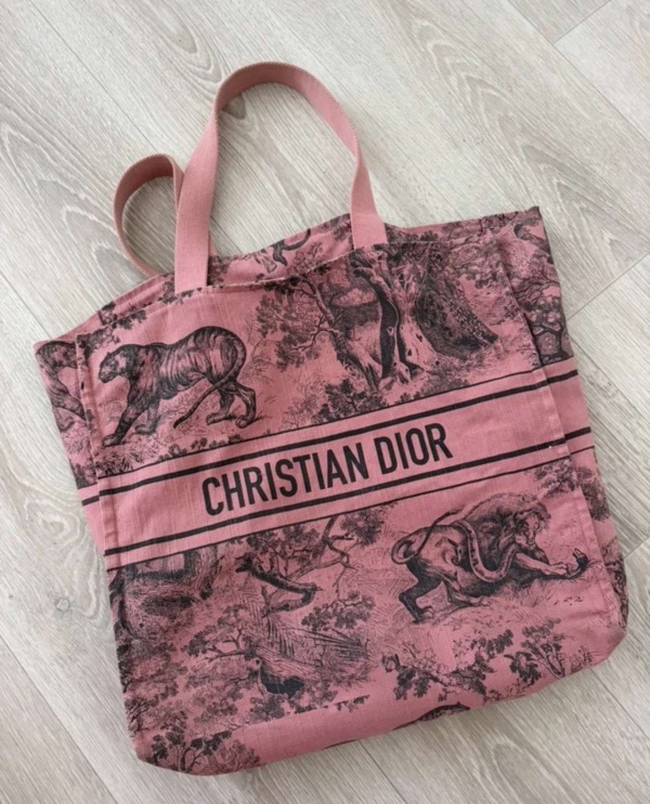 Dior plazova taška