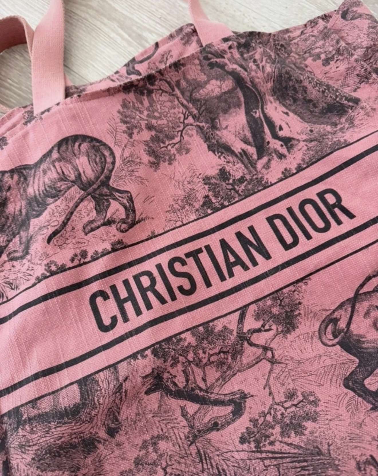 Dior plazova taška