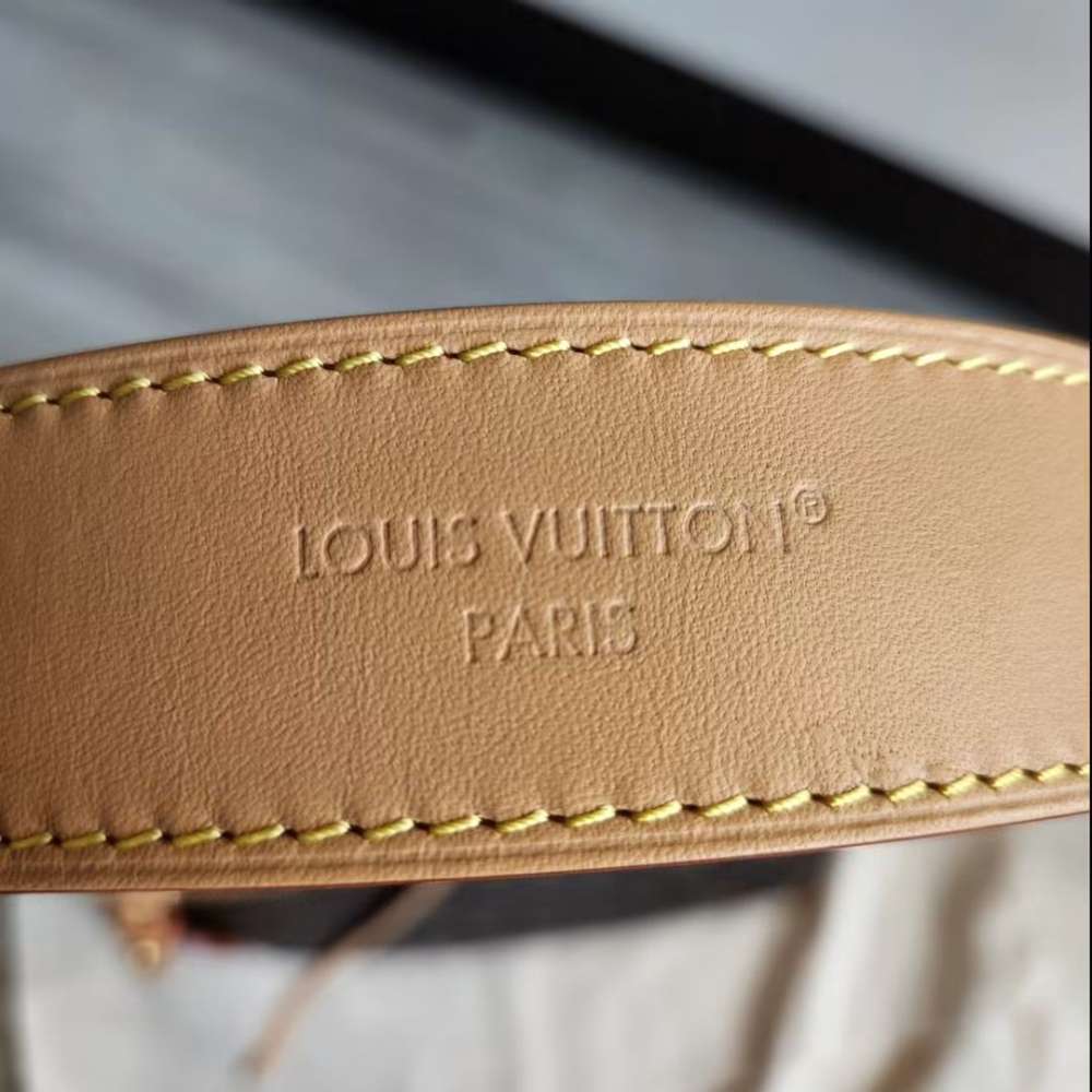 Louis Vuitton CarryAll PM