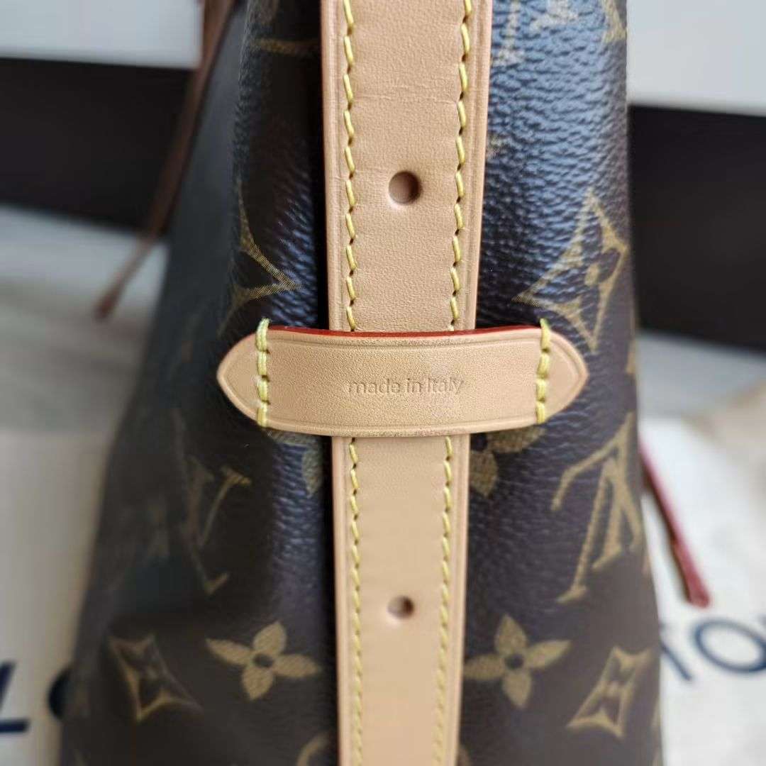 Louis Vuitton CarryAll PM