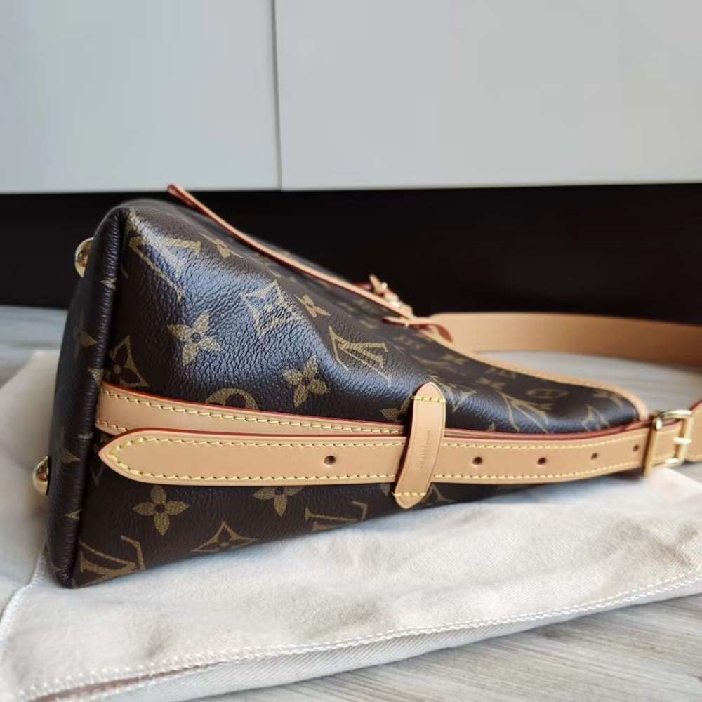 Louis Vuitton CarryAll PM