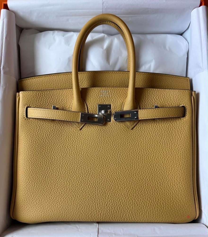 HERMÈS BIRKIN 25