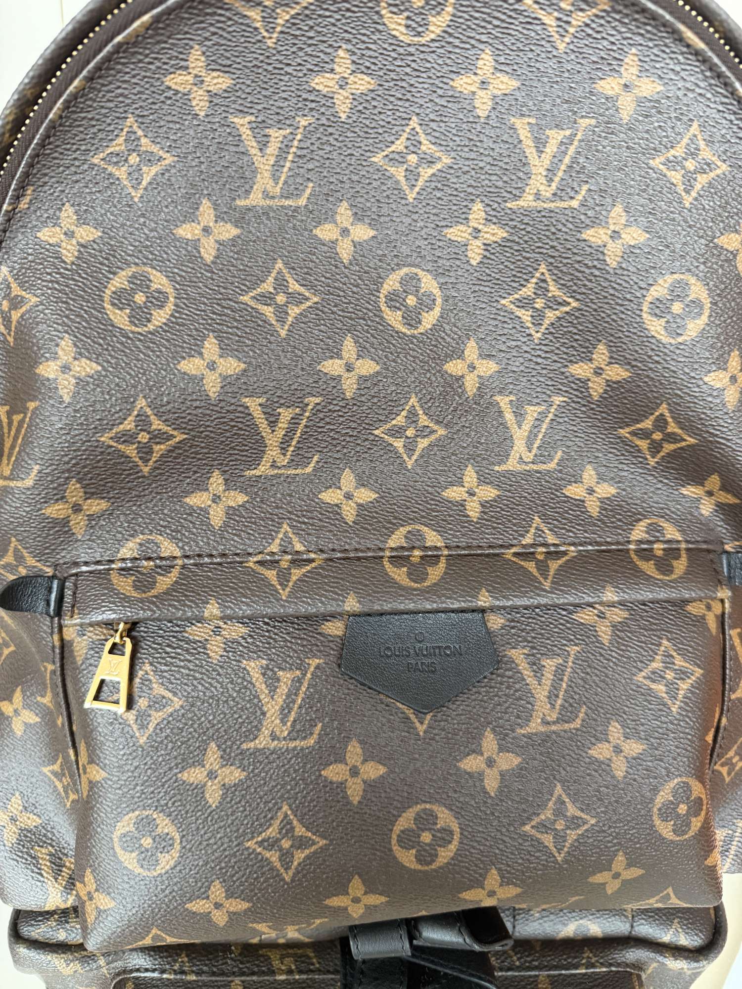 Louis Vuitton back pack MM