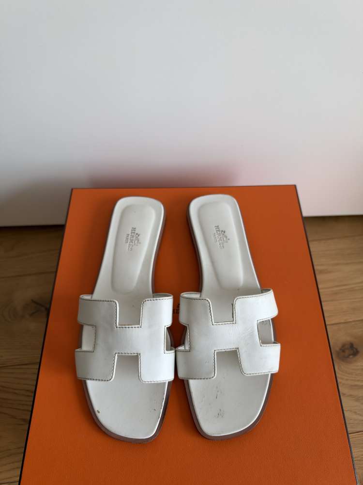 Hermes bile oran