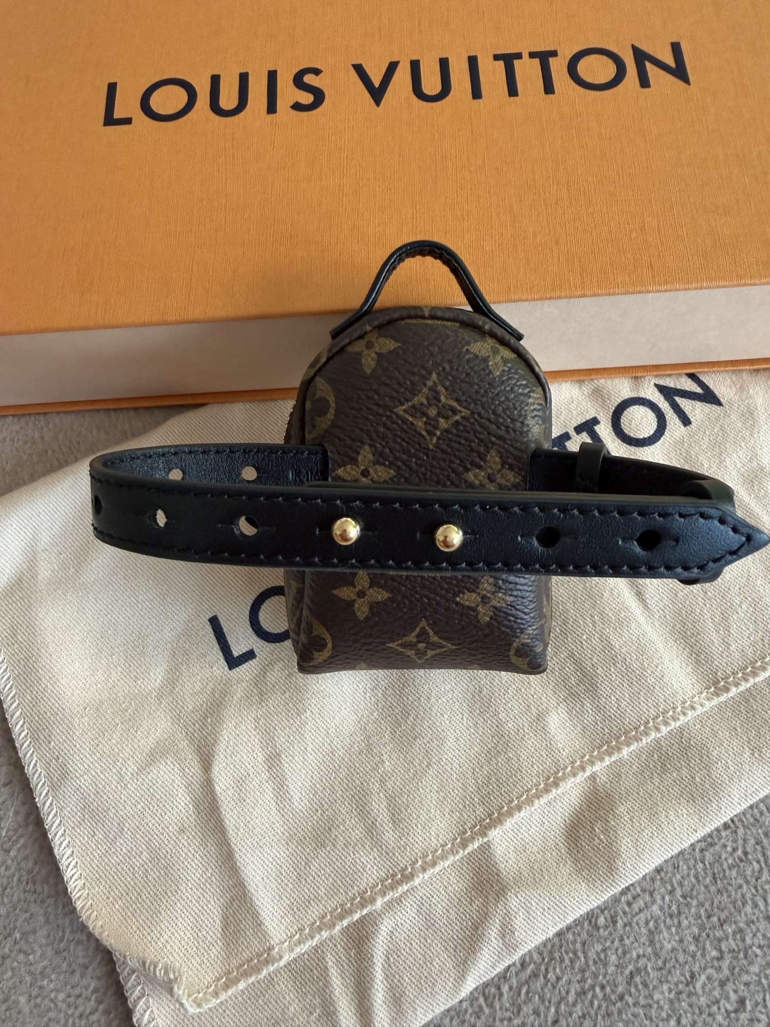 Louis Vuitton party Palm springs