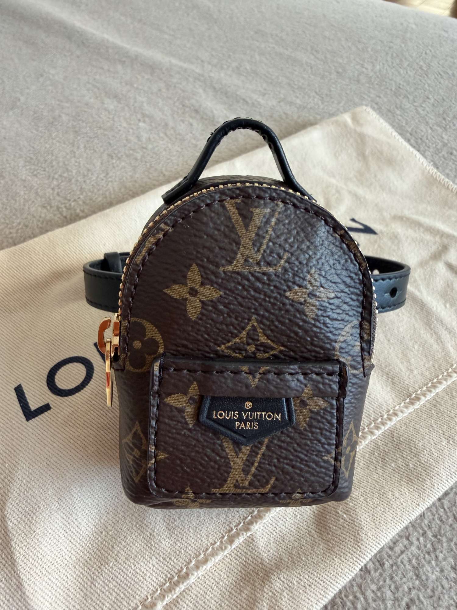 Louis Vuitton party Palm springs