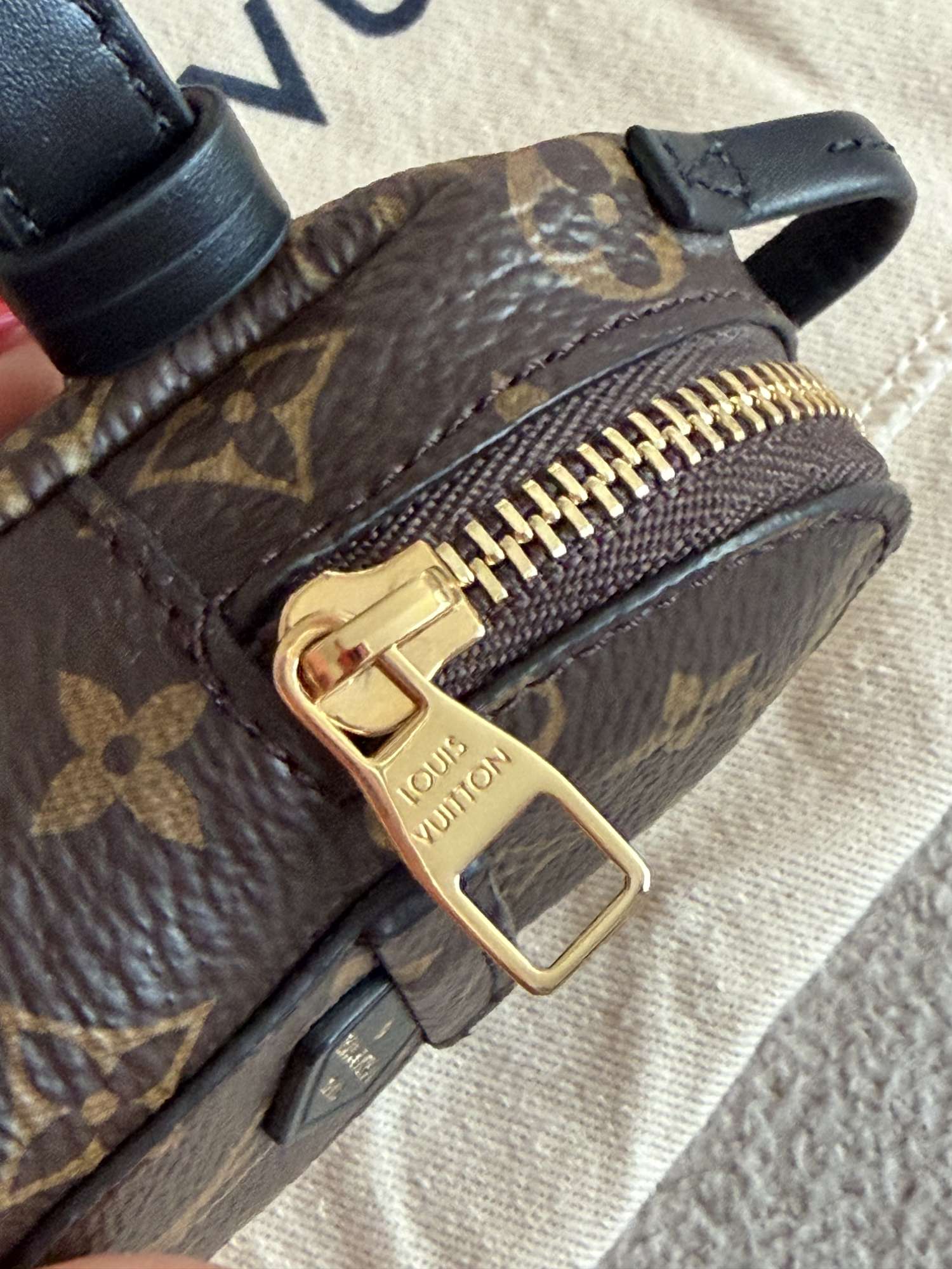 Louis Vuitton party Palm springs