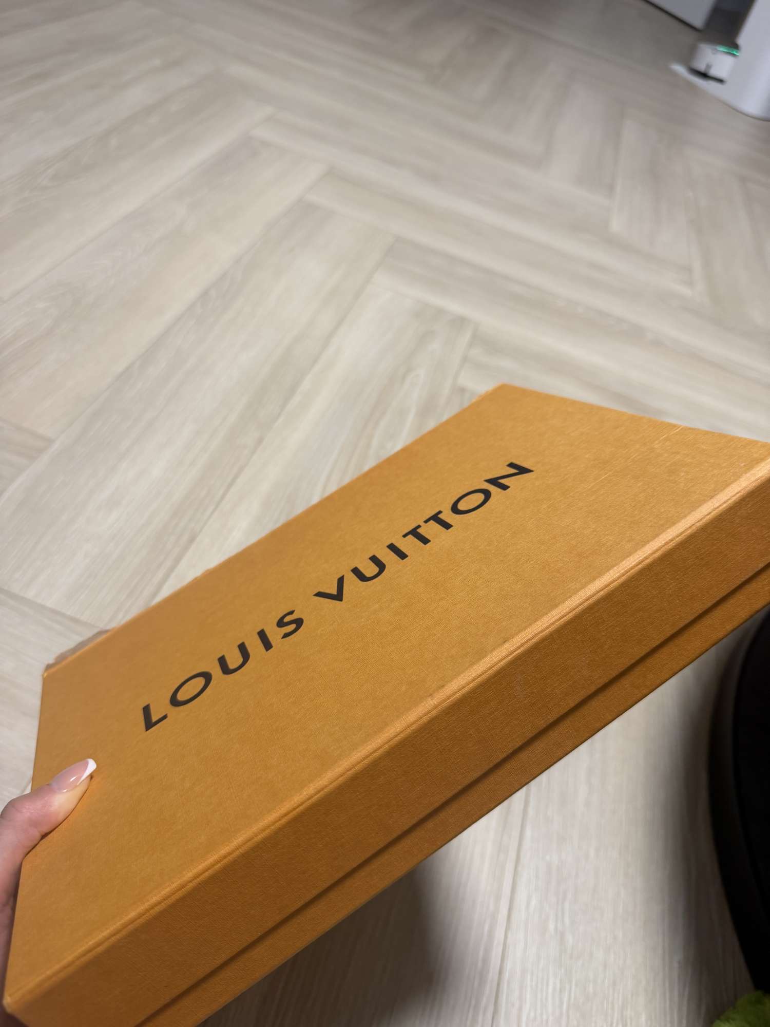 Louis Vuitton Felicie