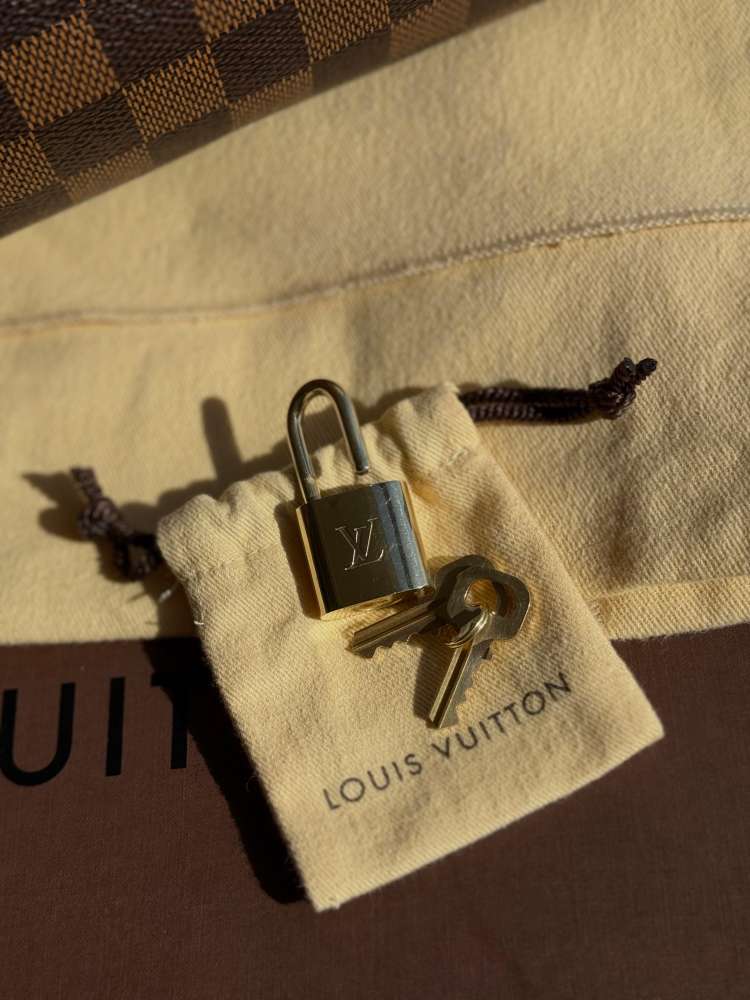 Louis Vuitton Speedy 35