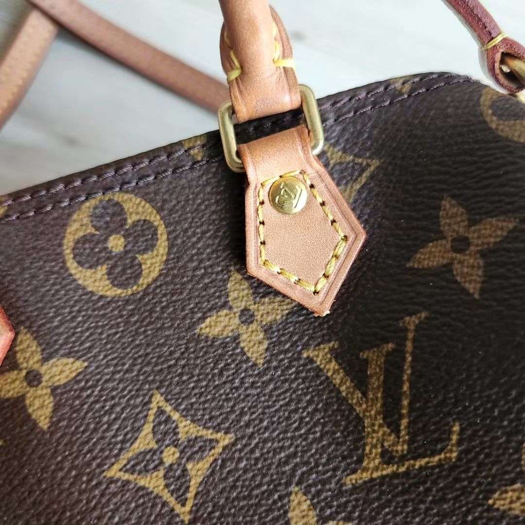 Louis Vuitton Speedy Nano
