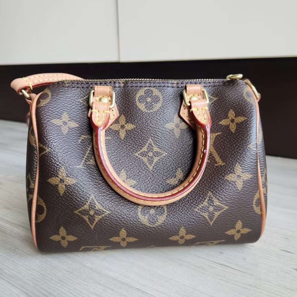 Louis Vuitton Speedy Nano