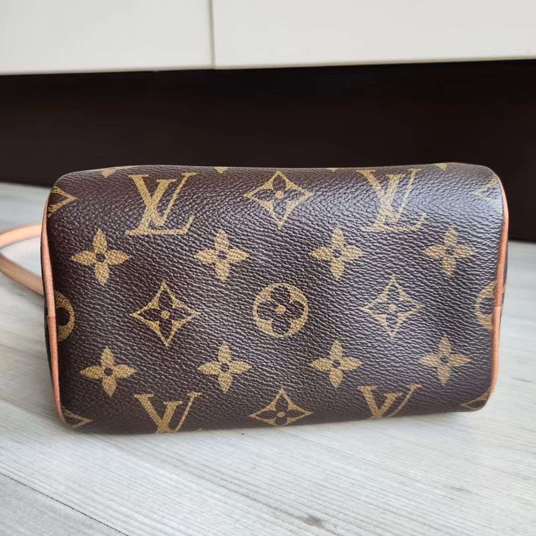 Louis Vuitton Speedy Nano