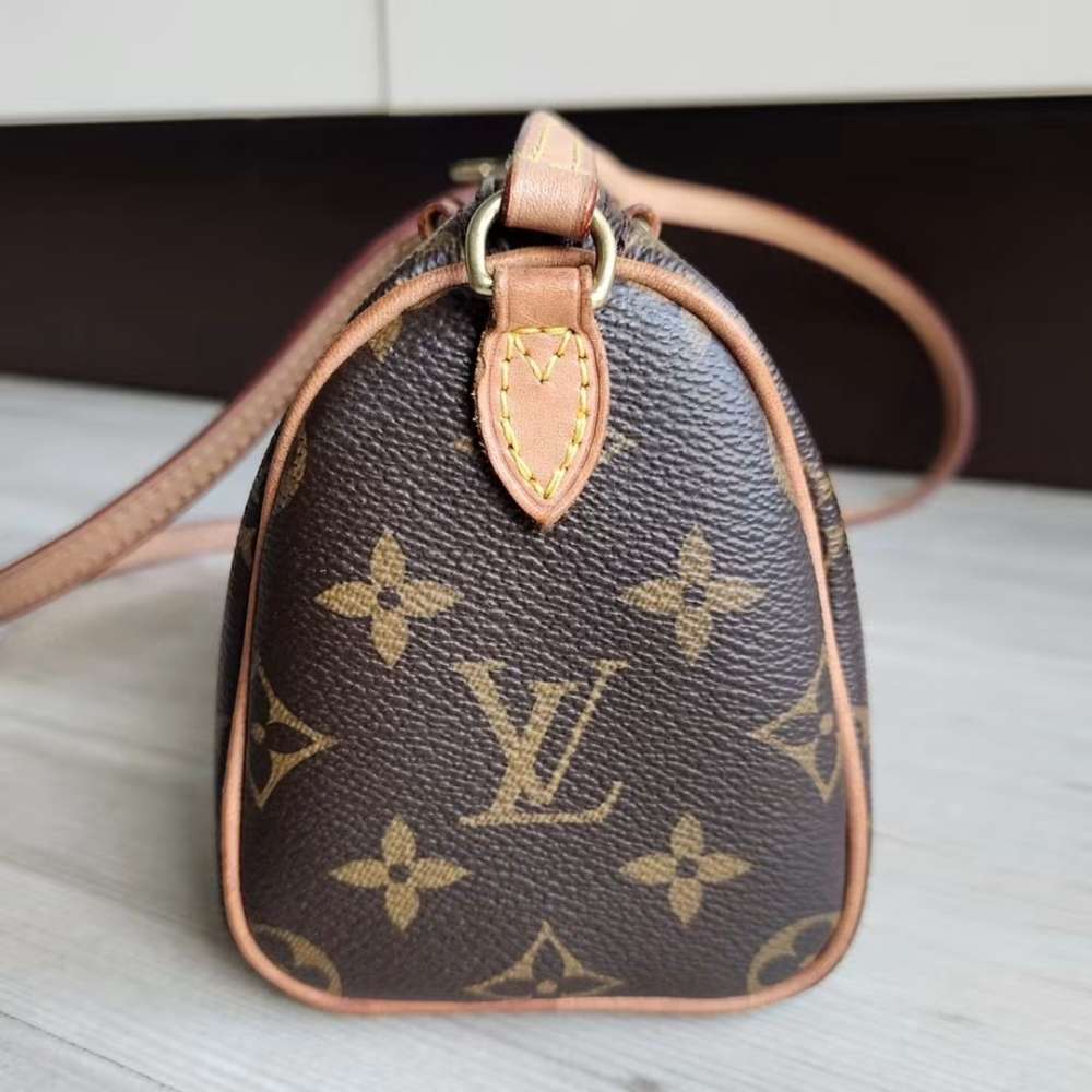 Louis Vuitton Speedy Nano