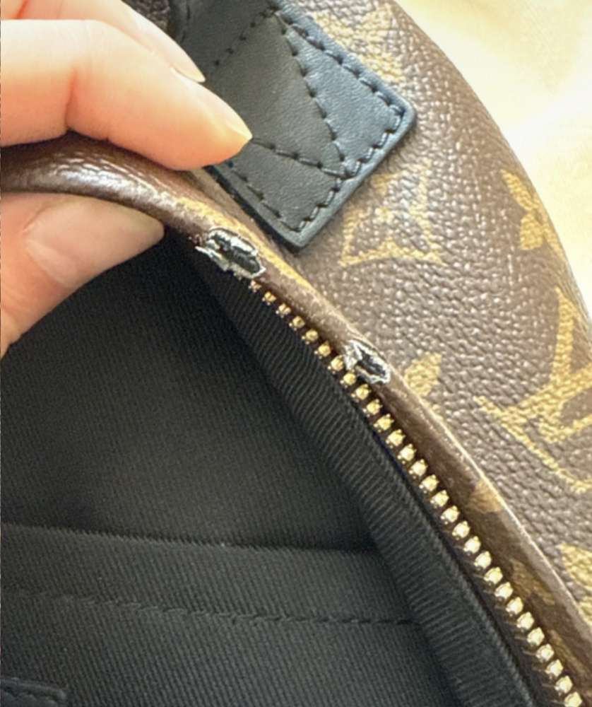 Louis Vuitton Palm Spring PM