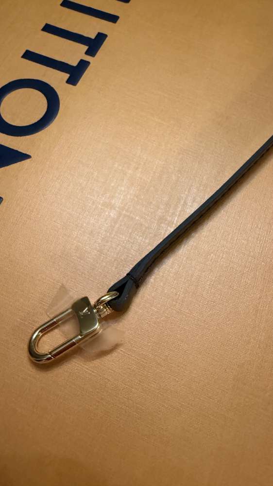 LV pochette