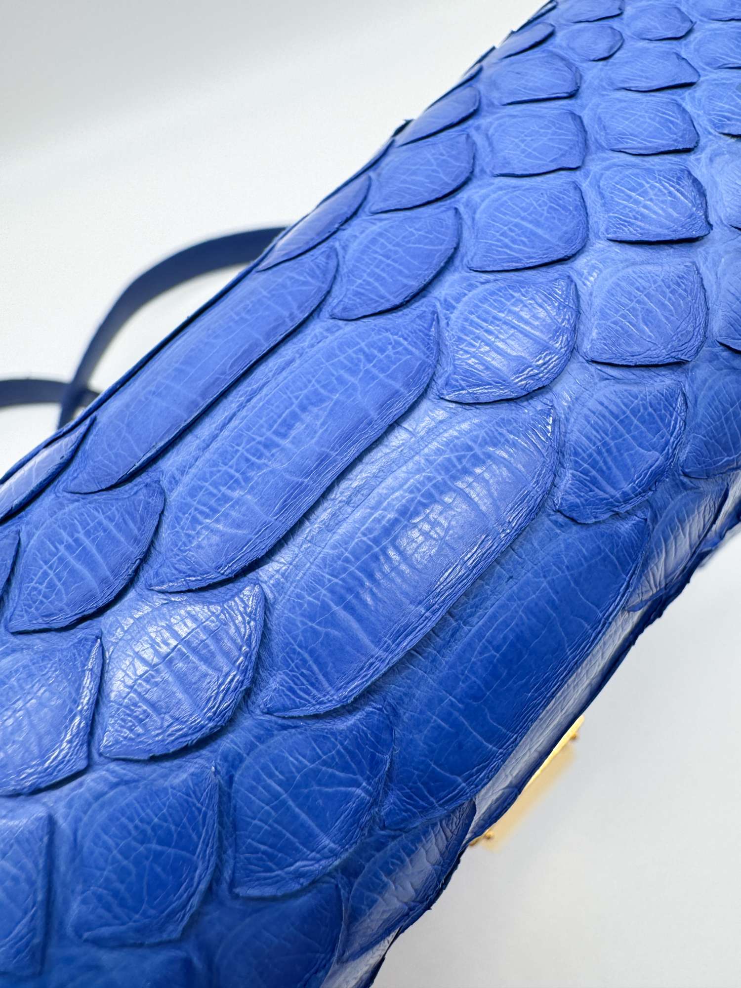 CELINE Royal Blue Real Python Medium Classic Box Flap Bag
