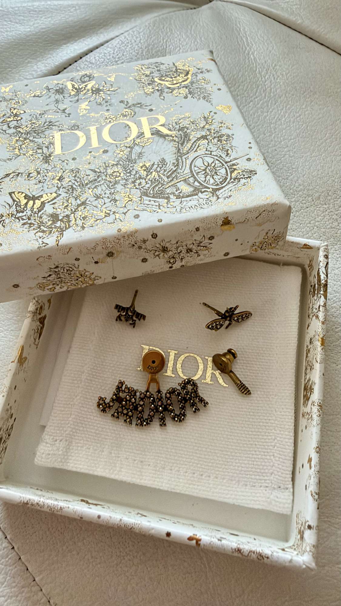 Dior nausnice
