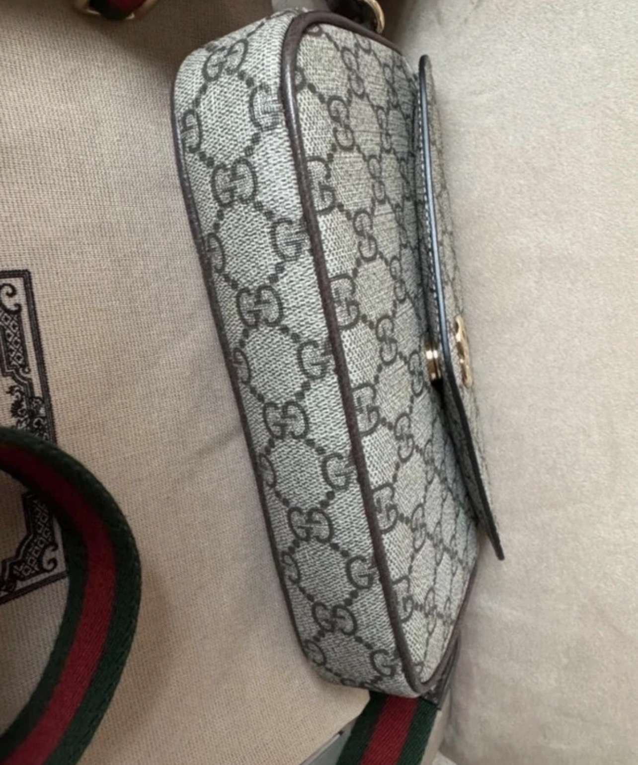 Ophidia pochette